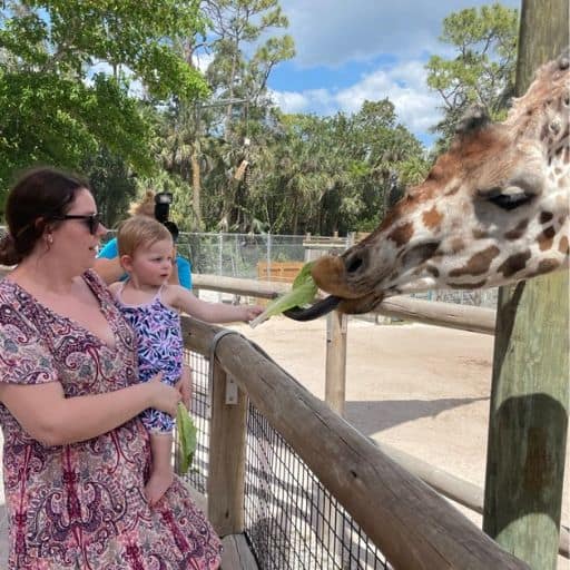 Going to the zoo is a great way to celebrate a first birthday without a party